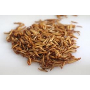 Mealworm αποξηραμενο 100γρ Mealworm αποξηραμενο 100γρ